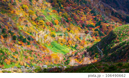 秋の安達太良山登山：くろがね小屋付近の紅葉 106490662