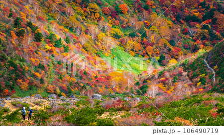 秋の安達太良山登山：くろがね小屋付近の紅葉 106490719