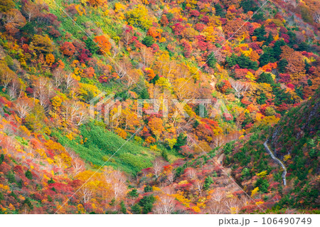 秋の安達太良山登山:くろがね小屋付近の紅葉 秋の安達太良山登山:くろがね小屋付近の紅葉 106490749