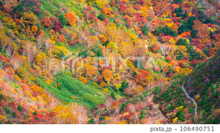 秋の安達太良山登山：くろがね小屋付近の紅葉 106490751