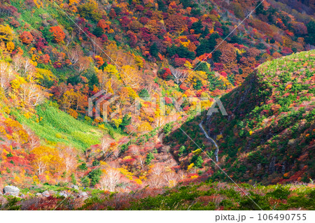 秋の安達太良山登山:くろがね小屋付近の紅葉 秋の安達太良山登山:くろがね小屋付近の紅葉 106490755