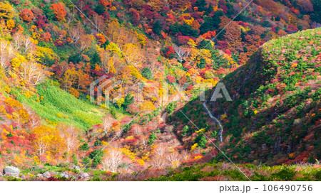 秋の安達太良山登山：くろがね小屋付近の紅葉 106490756