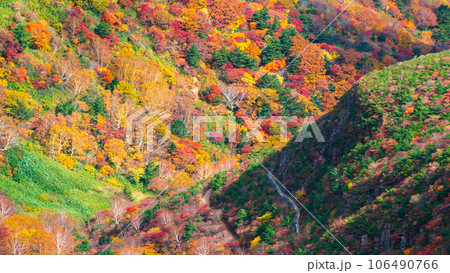 秋の安達太良山登山：くろがね小屋付近の紅葉 106490766