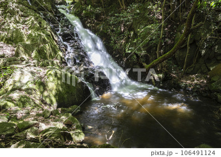 新緑に映える渓谷の滝 106491124