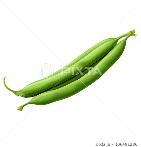 vegetable, fresh, green, background, food, organic, plant, nature, closeup, health, natural, nutrition, bean, healthy, ingredient, yard, cooking, vegetarian, long, raw, agriculture, cowpea, garden, 106491286