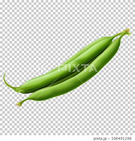 vegetable, fresh, green, background, food, organic, plant, nature, closeup, health, natural, nutrition, bean, healthy, ingredient, yard, cooking, vegetarian, long, raw, agriculture, cowpea, garden, 106491286