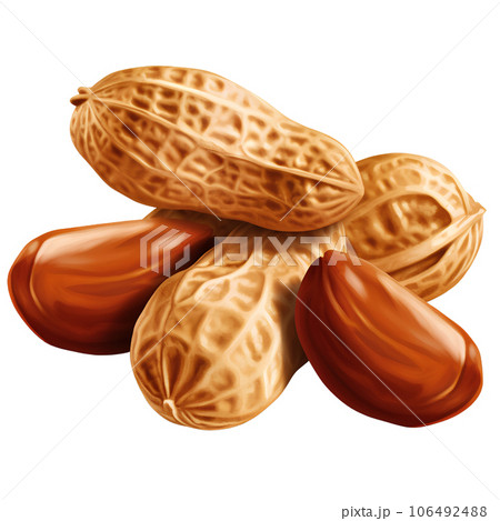 peanut, nut, ingredient, background, isolated, food, healthy, snack, natural, nutrition, closeup, white, organic, seed, brown, raw, tasty, dry, fat, whole, roasted, diet, group, macro, groundnut, eat, 106492488