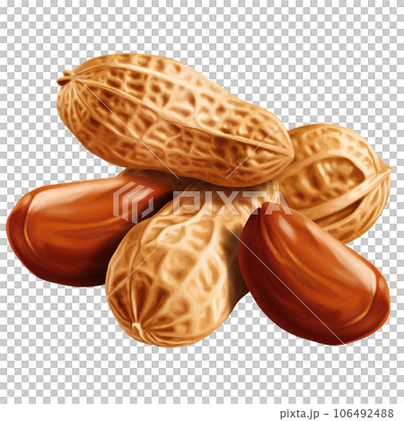 peanut, nut, ingredient, background, isolated, food, healthy, snack, natural, nutrition, closeup, white, organic, seed, brown, raw, tasty, dry, fat, whole, roasted, diet, group, macro, groundnut, eat, 106492488