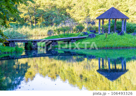七ツ洞公園 106493326
