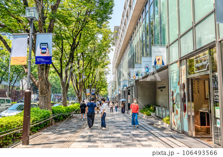 東京渋谷の都市風景　表参道 106493566