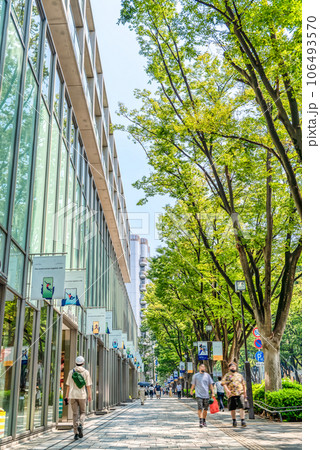 東京渋谷の都市風景　表参道 106493570