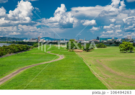 淀川新橋の上から眺めた夏の淀川河川公園 寝屋川市 淀川新橋の上から眺めた夏の淀川河川公園 寝屋川市 106494263
