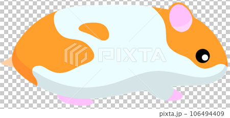 敘利亞倉鼠 敘利亞倉鼠 106494409