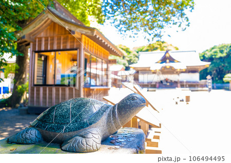 酒列磯崎神社の幸運の亀 106494495