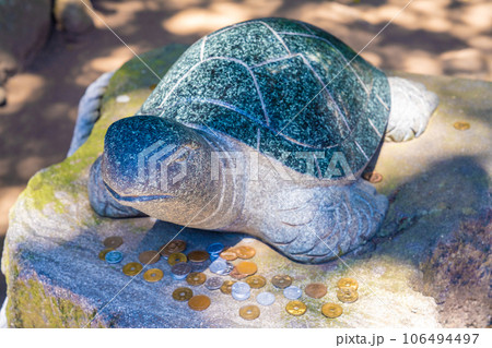 酒列磯崎神社の幸運の亀 106494497