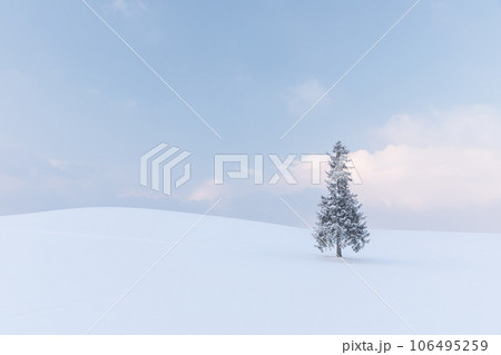 北海道_雪景色のクリスマスツリーの木の風景 106495259