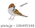 スズメ 106495348
