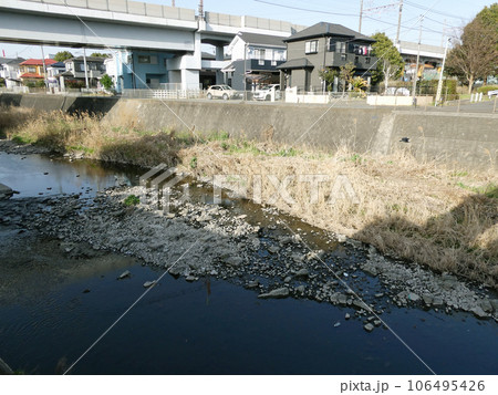 のどかな河川敷 106495426