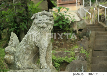 梅雨の高松・石清尾八幡宮 106495565