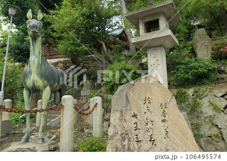 梅雨の高松・石清尾八幡宮 106495574