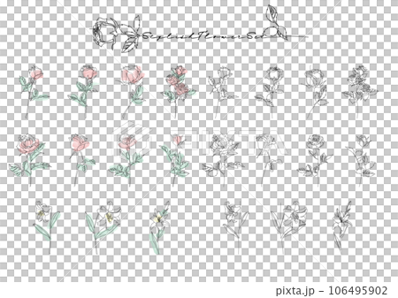 時尚手繪植物插畫素材 時尚手繪植物插畫素材 106495902