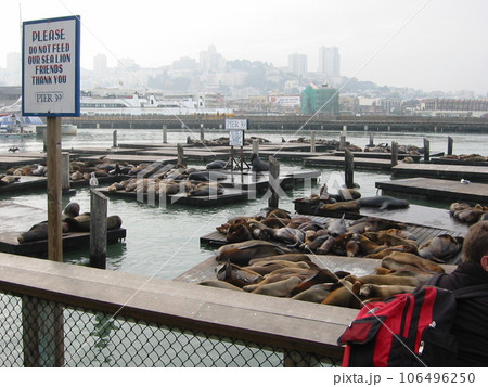 サンフランシスコ PIER39 サンフランシスコ PIER39 106496250