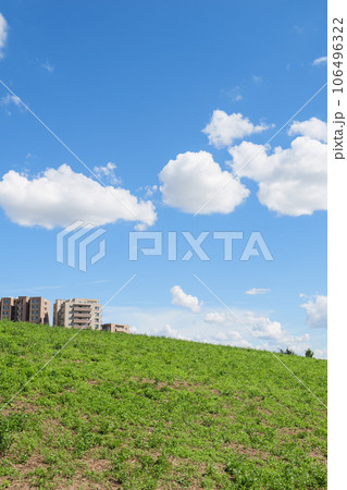 青い空と雲、緑の芝生の風景 青い空と雲、緑の芝生の風景 106496322