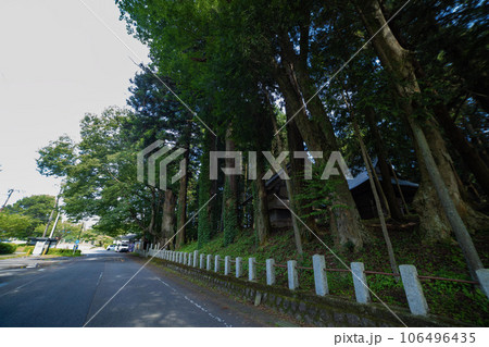 群馬県吾妻郡・親都神社の大杉の境内木 群馬県吾妻郡・親都神社の大杉の境内木 106496435