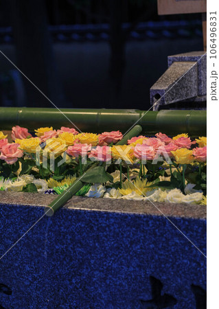 夜の現人神社花手水 夜の現人神社花手水 106496831