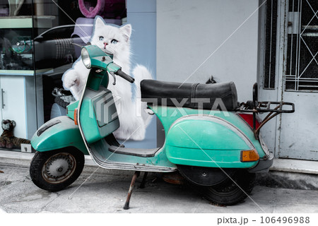 Green vintage scooter standing in an alley. Green vintage scooter standing in an alley. 106496988