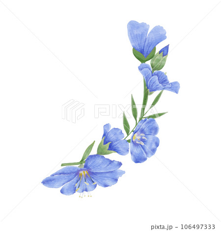 Watercolor flax flowers and buds 106497333