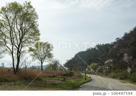 Bicycle path along Yeongsangang River Bicycle path along Yeongsangang River 106497594
