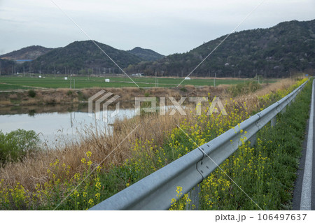 Bicycle path along Yeongsangang River Bicycle path along Yeongsangang River 106497637