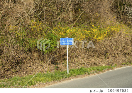 Bicycle path along Yeongsangang River Bicycle path along Yeongsangang River 106497683
