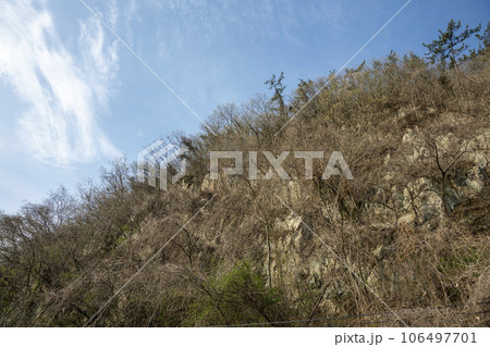 Bicycle path along Yeongsangang River 106497701