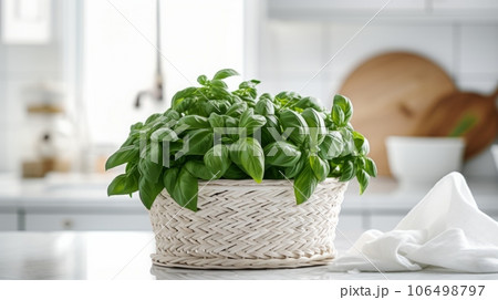 Aromatic Basil Herbs Photorealistic Horizontal Illustration. Healthy Vegetarian Diet. Ai Generated bright Illustration with Delicious Aromatic Basil Herbs. 106498797