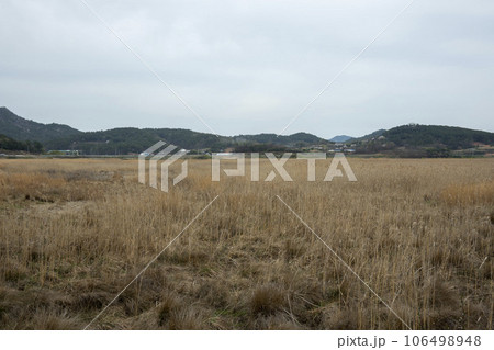 Bicycle path along Yeongsangang River 106498948