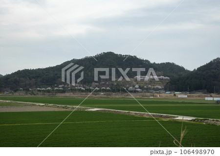 Bicycle path along Yeongsangang River 106498970