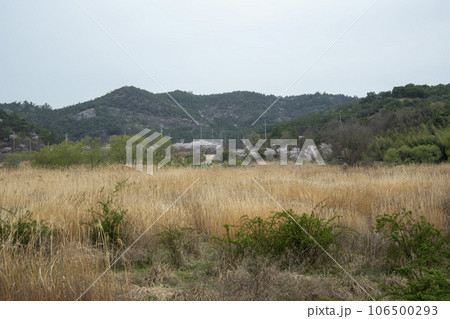 Bicycle path along Yeongsangang River 106500293