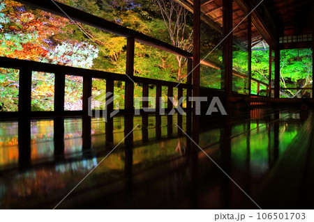 瑠璃光院特別拝観ライトアップ 106501703