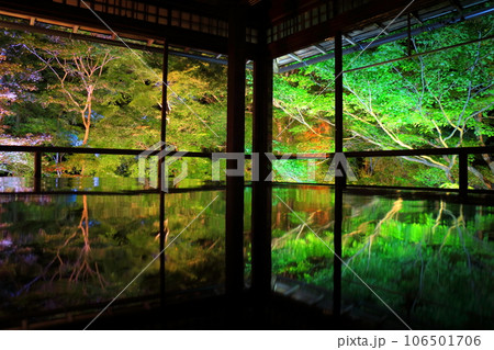 瑠璃光院特別拝観ライトアップ 瑠璃光院特別拝観ライトアップ 106501706