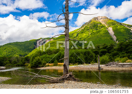 上高地、焼岳と立ち枯れの木 上高地、焼岳と立ち枯れの木 106501755