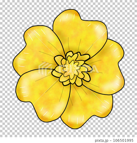 yellow flower isolated on white background yellow flower isolated on white background 106501995