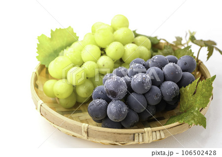 秋の味覚といえばぶどう（ 葡萄 ）巨峰  種なし巨峰 フルーツ シャインマスカット 106502428