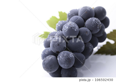 秋の味覚といえばぶどう（ 葡萄 ）巨峰  種なし巨峰 フルーツ シャインマスカット 106502430