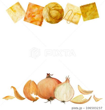 Hand drawn watercolor onion coloring natural plant dye and materials for hobby, handmade fabric. Illustration isolated square frame, white background. Shop logo, print, website, business card, booklet Hand drawn watercolor onion coloring natural plant dye and materials for hobby, handmade fabric. Illustration isolated square frame, white background. Shop logo, print, website, business card, booklet 106503237