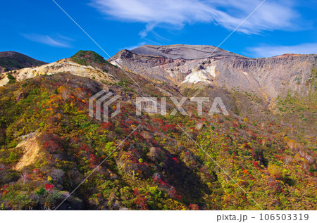 駒草平の紅葉風景（宮城県蔵王町） 106503319
