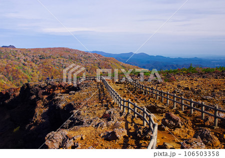 秋の駒草平（宮城県蔵王町） 106503358