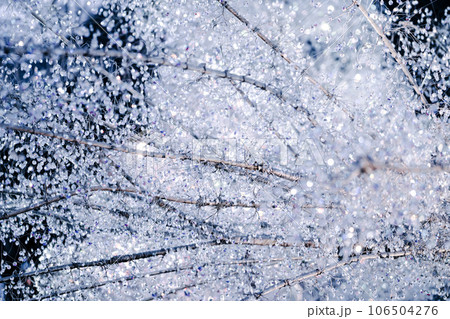 12月のイルミネーション 106504276