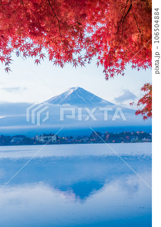 (山梨県)河口湖畔の紅葉と富士山 朝 (山梨県)河口湖畔の紅葉と富士山 朝 106504884